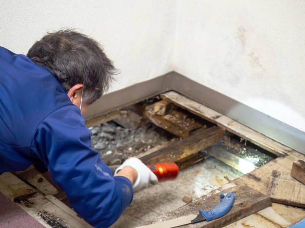 Crawl Space Mold Removal in Valley View, PA